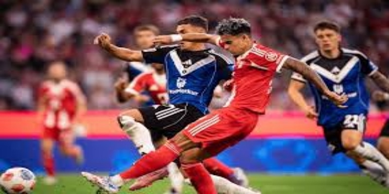 未来展望：德国足协的性别平等路线-AG百家乐